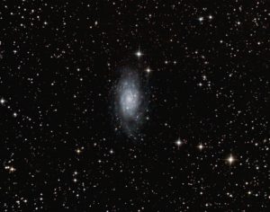 NGC2403