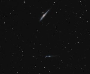 Whale and Crowbar Galaxies